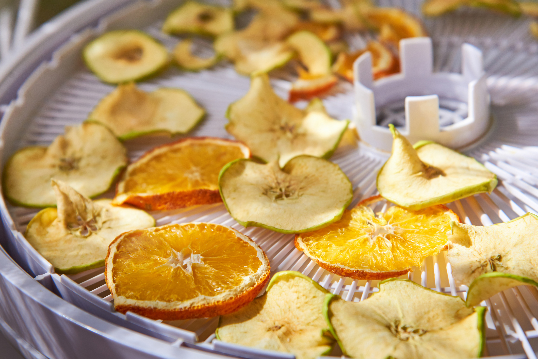 Dehydrator appliance with dehydrated apple and orange slices