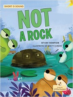 Book cover for Kim Thompson's "Not a Rock"